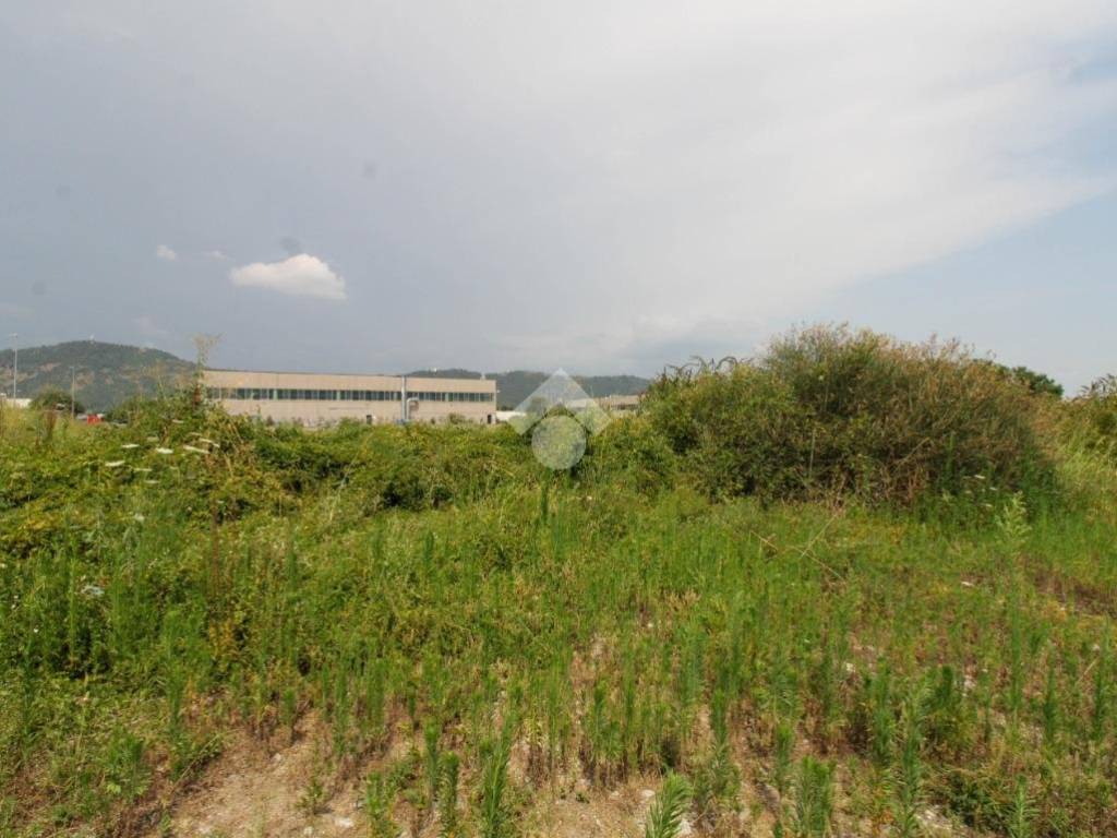 terreno agricolo in vendita a Cologne