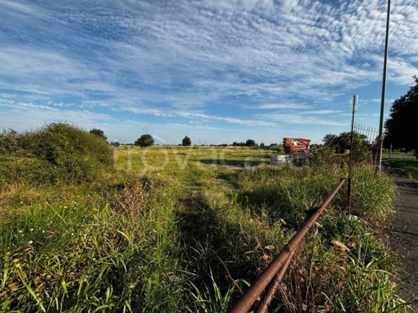 terreno agricolo in vendita a Cologne
