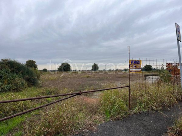 terreno agricolo in vendita a Cologne