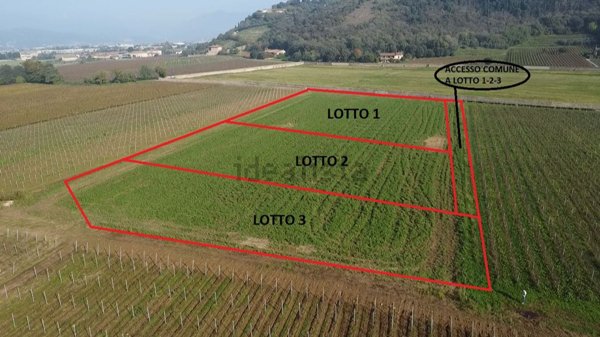 terreno agricolo in vendita a Cologne
