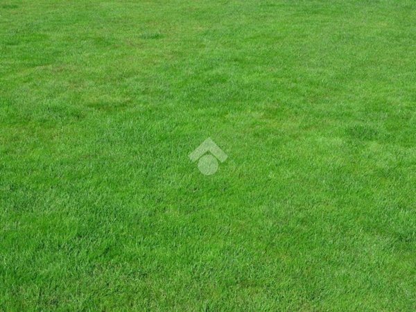 terreno edificabile in vendita a Cologne