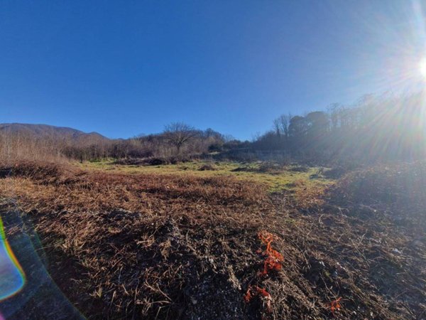 terreno agricolo in vendita a Concesio