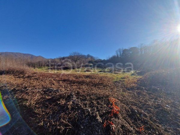 terreno agricolo in vendita a Concesio