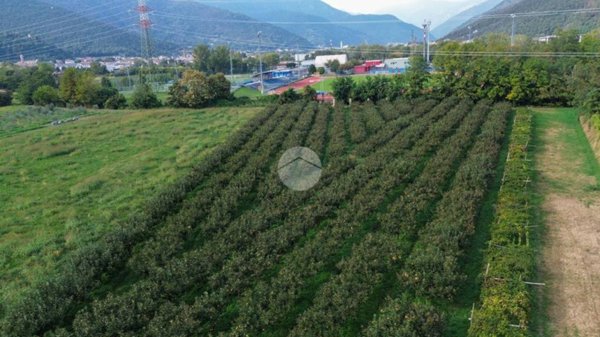terreno in vendita a Concesio in zona San Vigilio