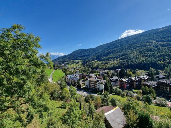 appartamento in vendita a Corteno Golgi