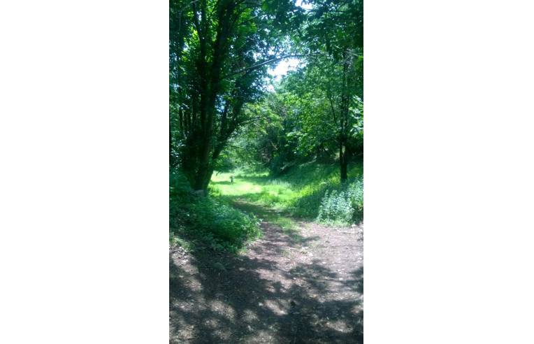 casa indipendente in vendita a Darfo Boario Terme