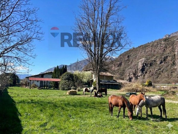 appartamento in vendita a Darfo Boario Terme