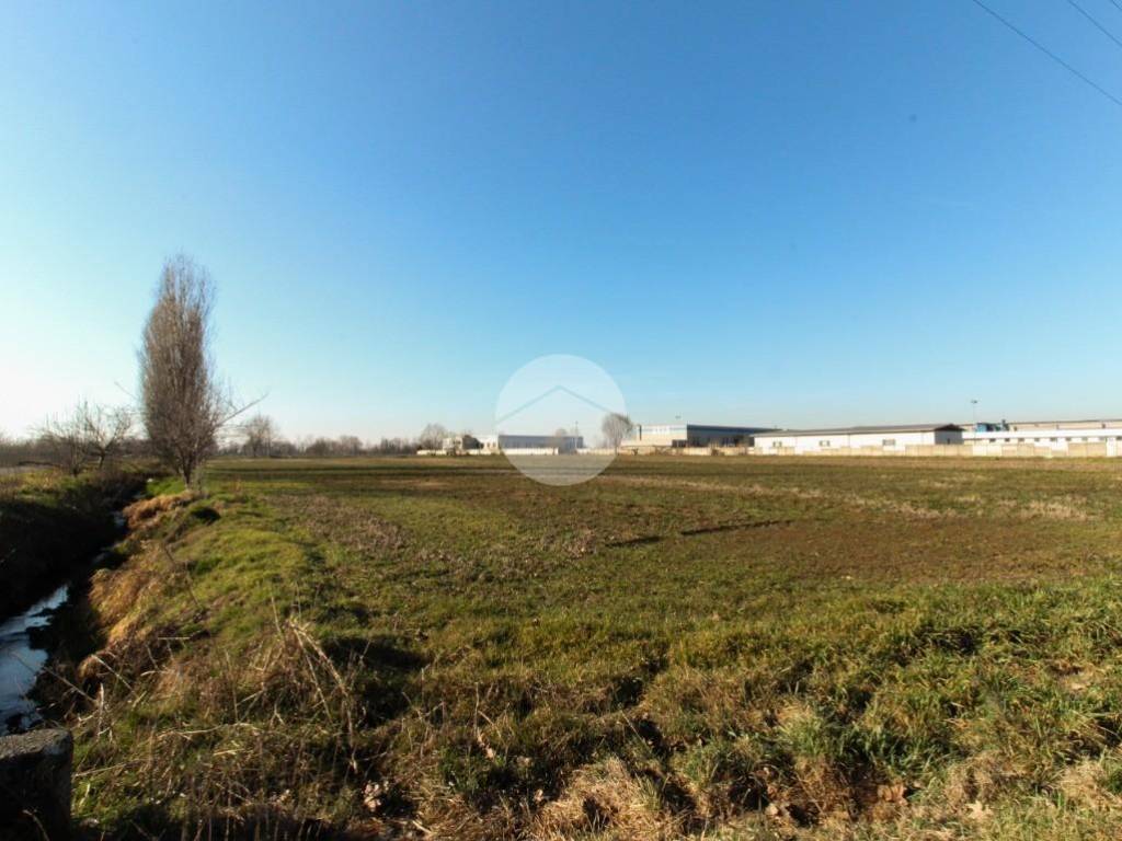 terreno agricolo in vendita a Dello