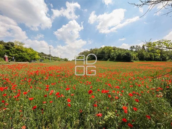 terreno agricolo in vendita a Desenzano del Garda