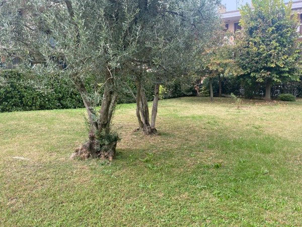 appartamento in vendita a Desenzano del Garda in zona Rivoltella