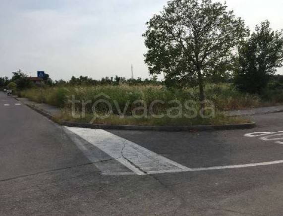 terreno agricolo a Desenzano del Garda in zona San Martino della Battaglia