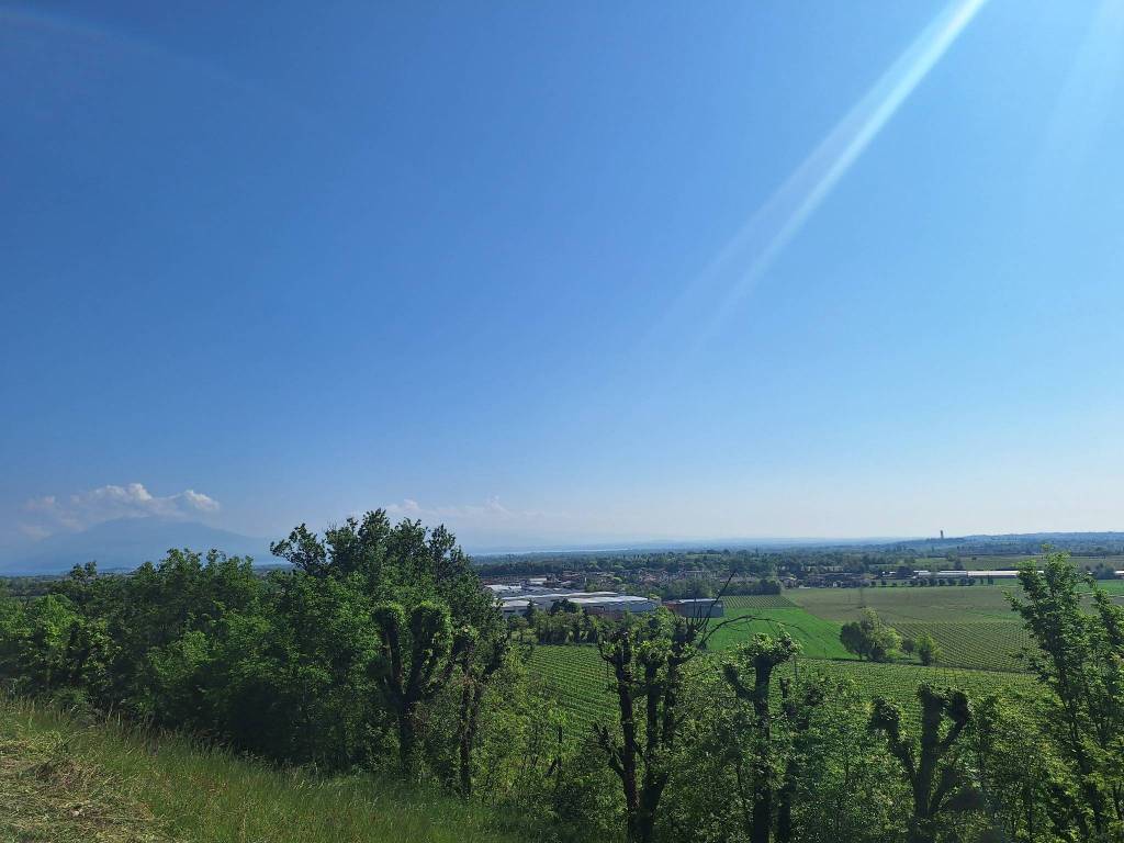terreno agricolo in vendita a Desenzano del Garda