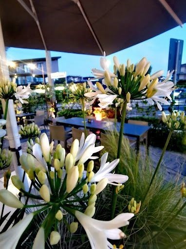 negozio in vendita a Desenzano del Garda