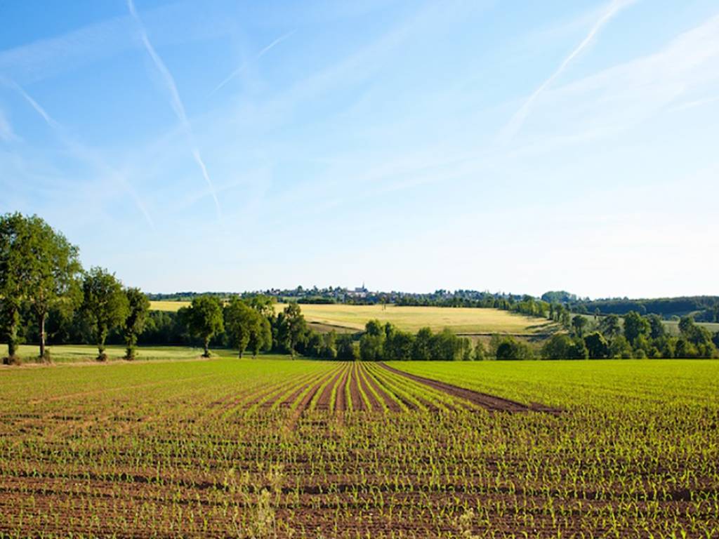 terreno agricolo in vendita a Desenzano del Garda