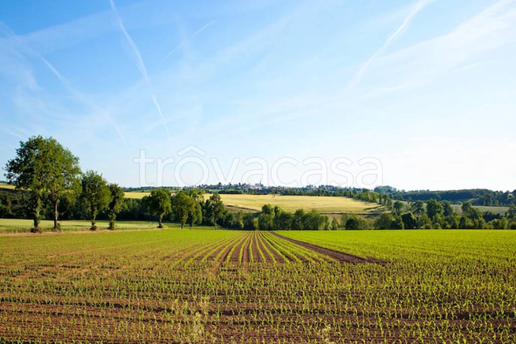 terreno agricolo in vendita a Desenzano del Garda