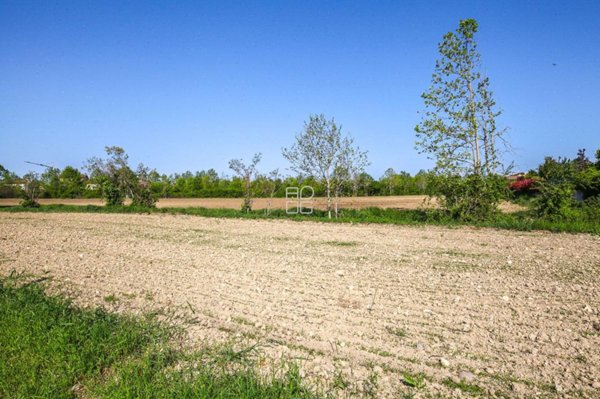 terreno agricolo in vendita a Desenzano del Garda in zona Rivoltella