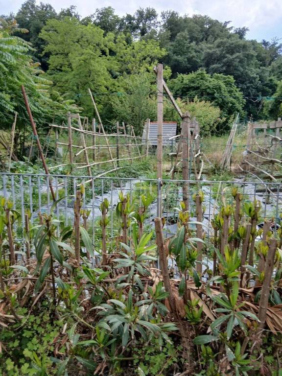 terreno agricolo in vendita a Desenzano del Garda
