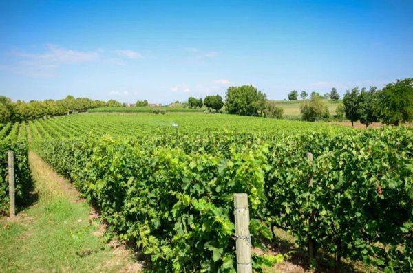 casale in vendita a Desenzano del Garda