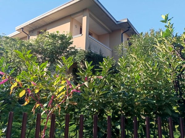 appartamento in vendita a Desenzano del Garda