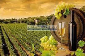 terreno agricolo in vendita a Desenzano del Garda