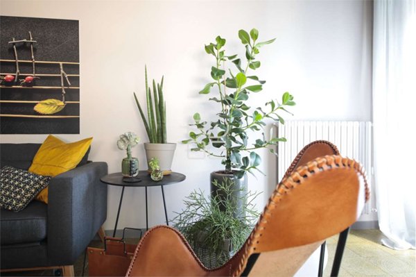 appartamento in vendita a Desenzano del Garda