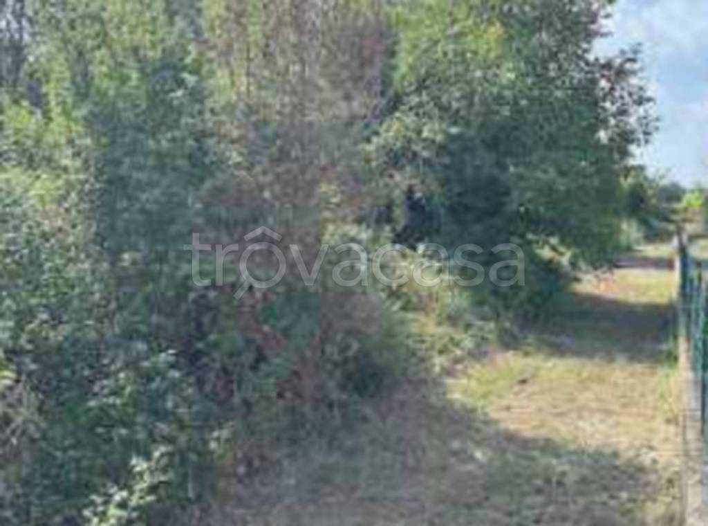 terreno agricolo in vendita a Desenzano del Garda in zona Vaccarolo