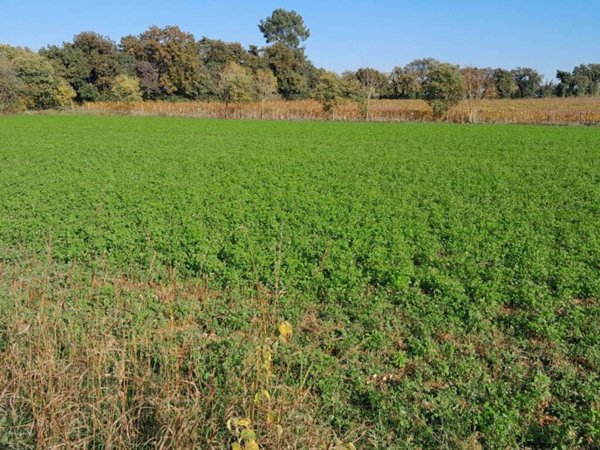 terreno agricolo in vendita a Desenzano del Garda