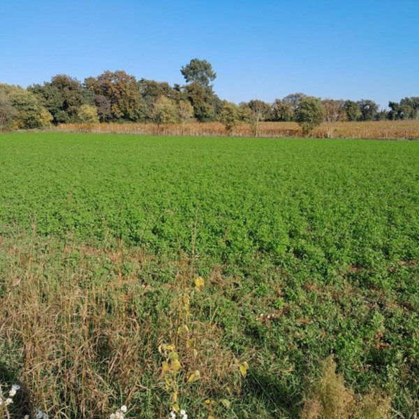 terreno agricolo in vendita a Desenzano del Garda
