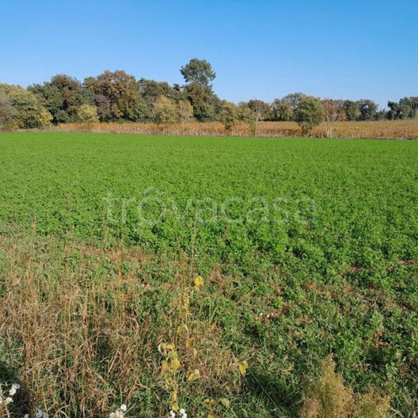 terreno agricolo in vendita a Desenzano del Garda