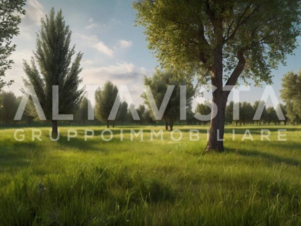 terreno agricolo in vendita a Desenzano del Garda