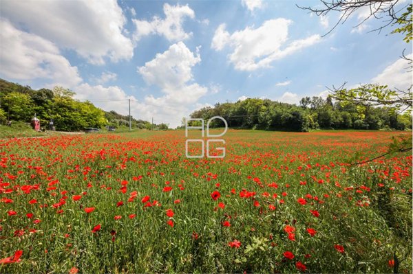 terreno agricolo in vendita a Desenzano del Garda