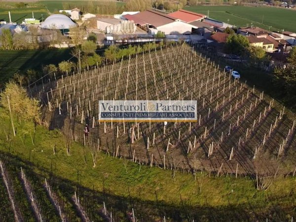 terreno agricolo in vendita a Desenzano del Garda in zona Vaccarolo