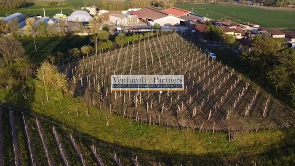 terreno agricolo in vendita a Desenzano del Garda in zona Vaccarolo