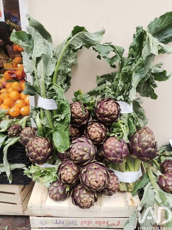 negozio in vendita a Desenzano del Garda in zona Campeggio sul Vò