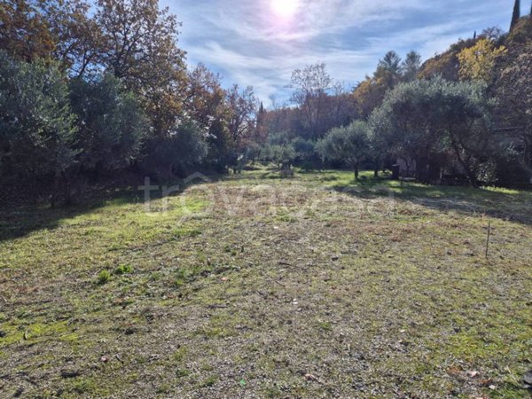 terreno agricolo in vendita a Desenzano del Garda