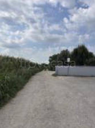 terreno agricolo in vendita a Desenzano del Garda in zona Vaccarolo