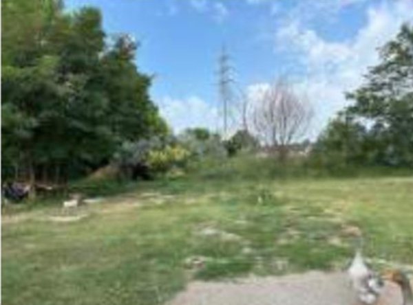 terreno agricolo in vendita a Desenzano del Garda in zona Vaccarolo