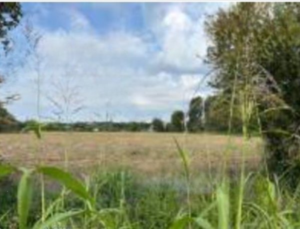terreno agricolo in vendita a Desenzano del Garda in zona Vaccarolo