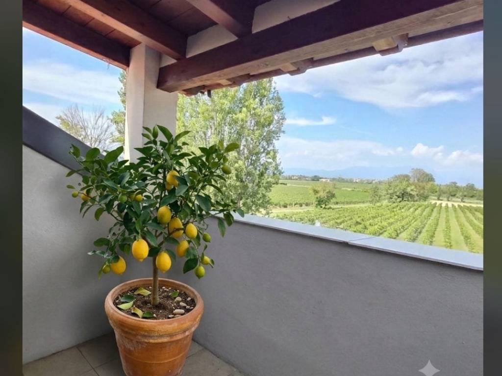 appartamento in vendita a Desenzano del Garda in zona Rivoltella
