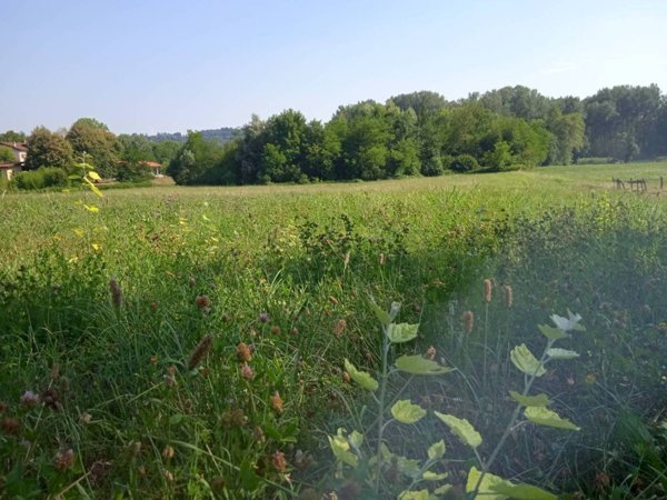 casale in vendita ad Edolo in zona Vico