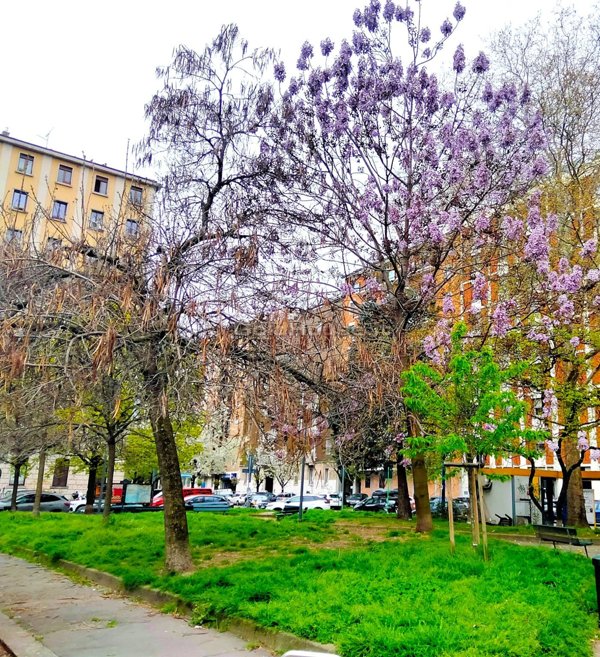 appartamento in vendita ad Edolo in zona Vico