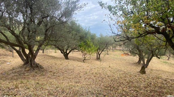 terreno agricolo in vendita ad Edolo in zona Vico