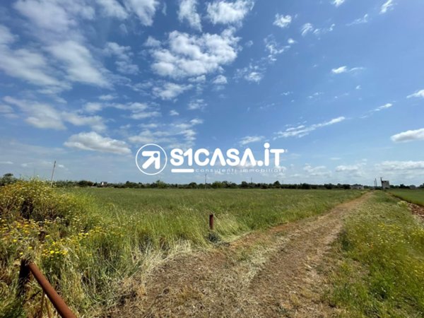 terreno agricolo in vendita ad Edolo in zona Vico