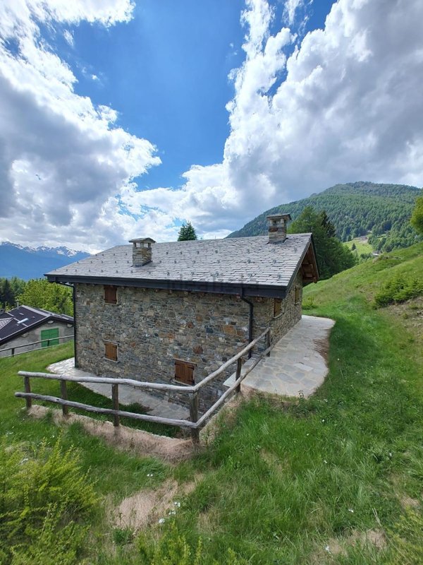 pentavano in vendita ad Edolo