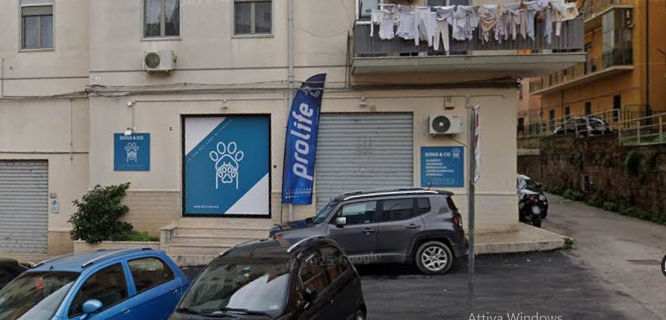 negozio in vendita ad Edolo in zona Vico