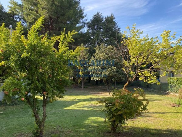 terreno edificabile in vendita ad Edolo in zona Vico