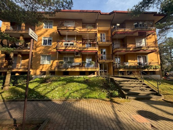 immagine annuncio 0 di 15