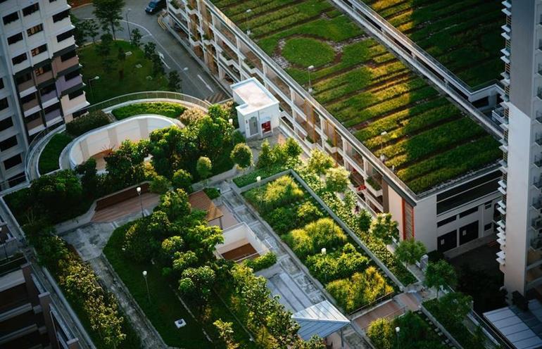 negozio in vendita ad Edolo in zona Vico