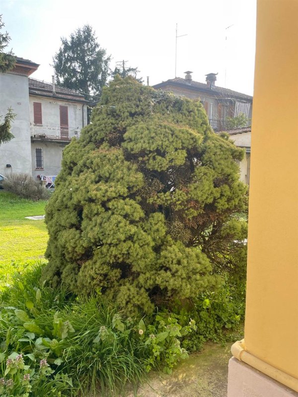 appartamento in vendita ad Edolo in zona Vico