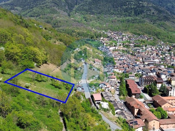 terreno agricolo in vendita ad Edolo in zona Vico